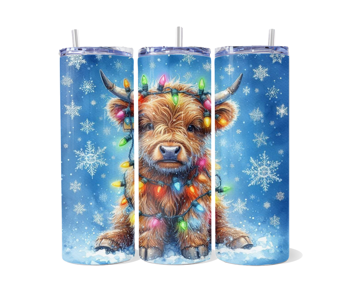 20oz Tumbler